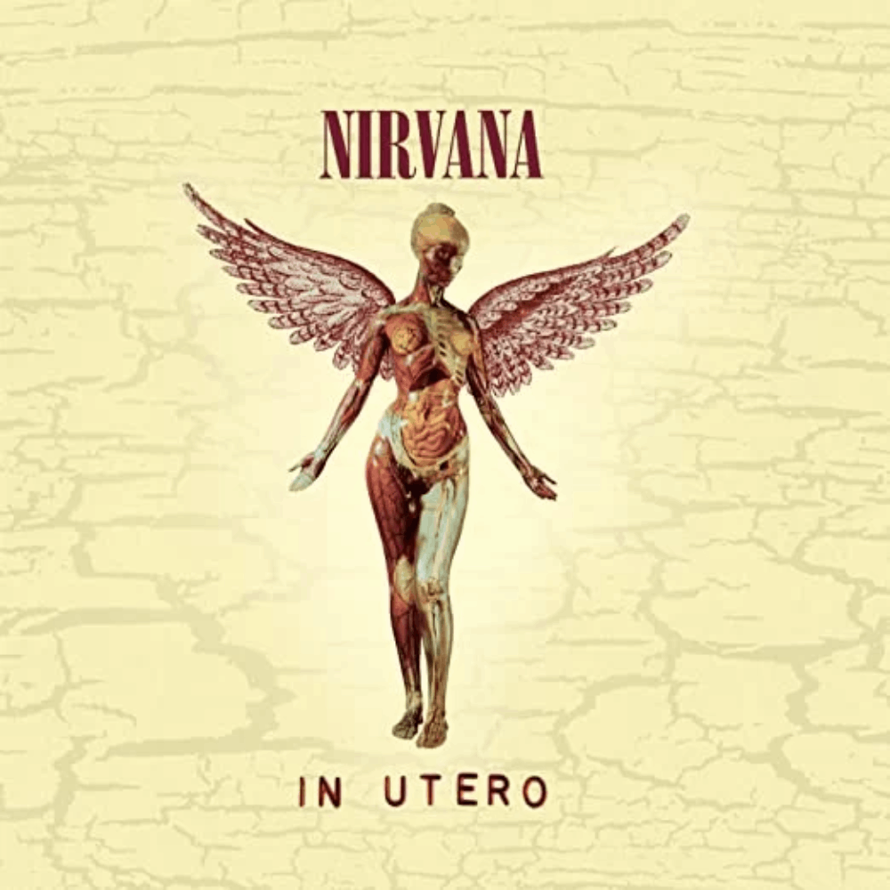 Nirvana ‎– In Utero LP 180 grs